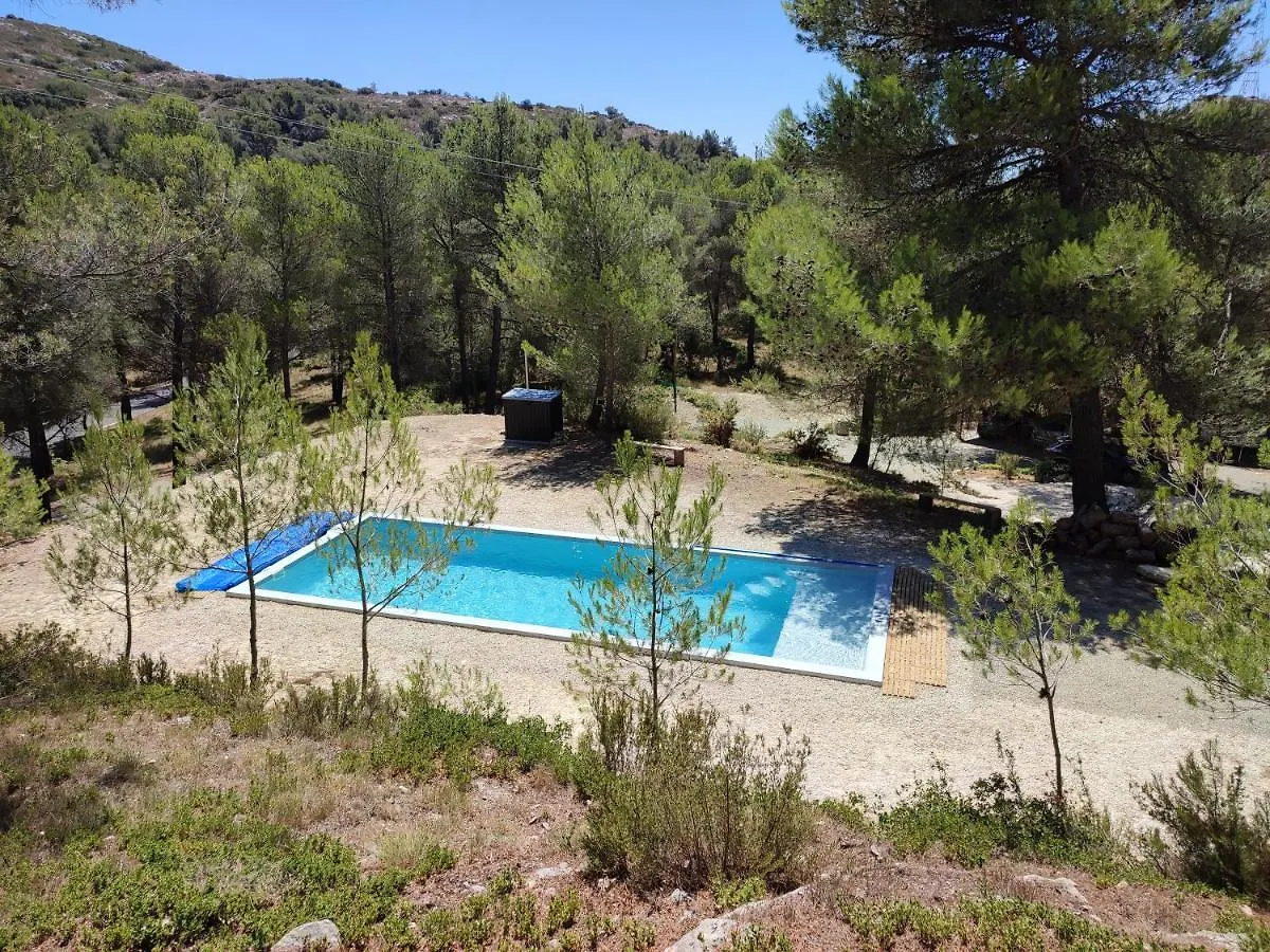 Homestay Ecrin De Nature Sous Les Pins Aurons France