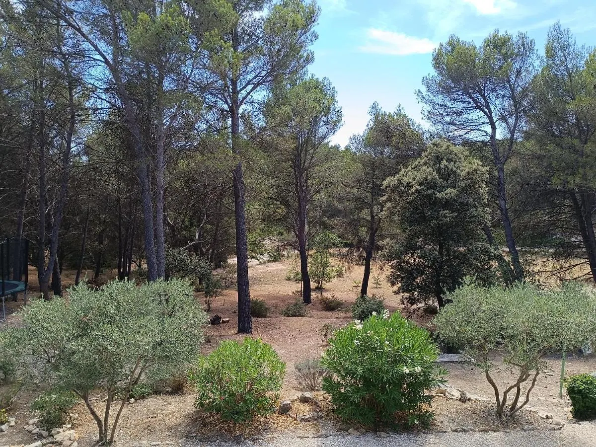 Ecrin De Nature Sous Les Pins Aurons Homestay