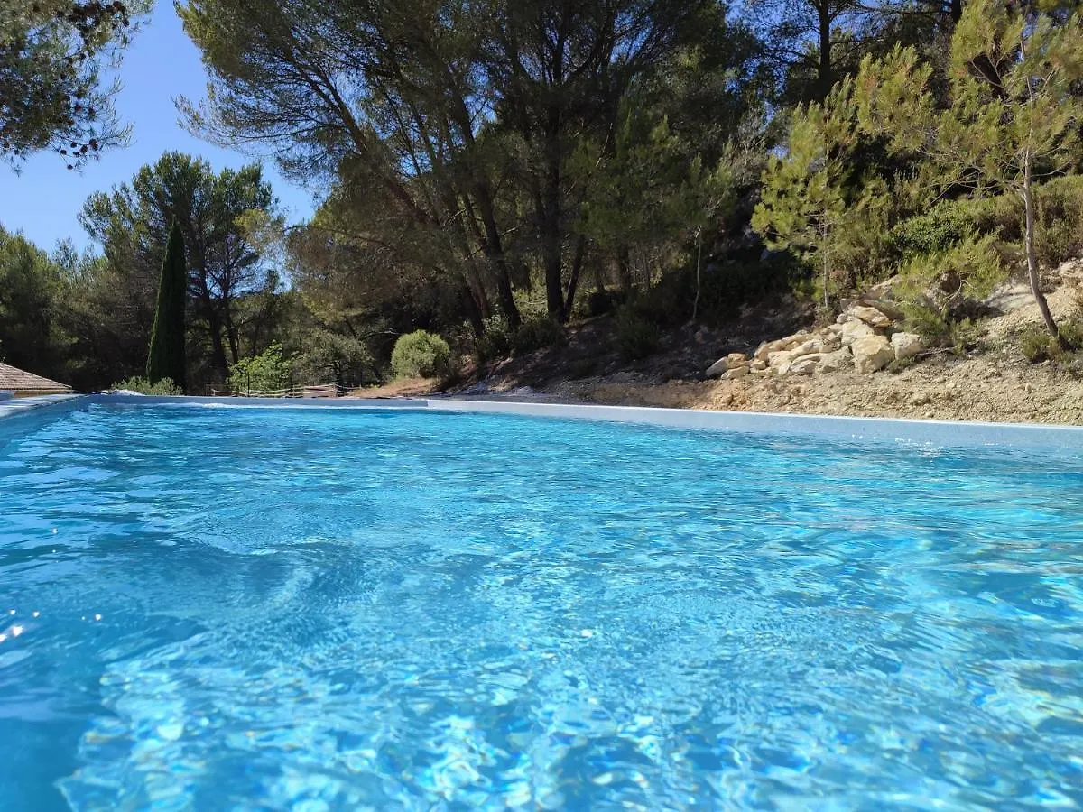 Ecrin De Nature Sous Les Pins Aurons